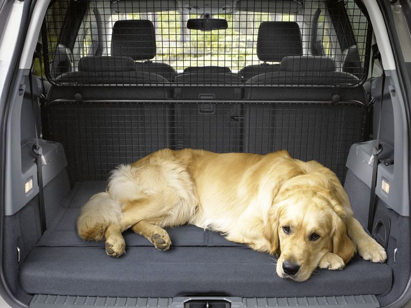 Tailgate Ford Kuga Dog Guard And Divider Ford Kuga Tailgate