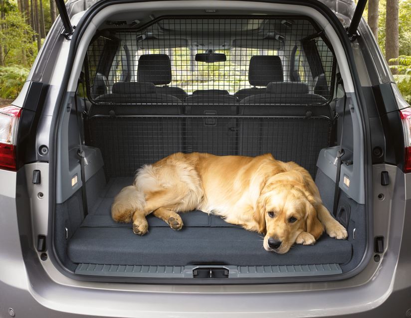 Ford Grand C-Max 04/15> Genuine Load Retention Guard Extension / Dog Half Height