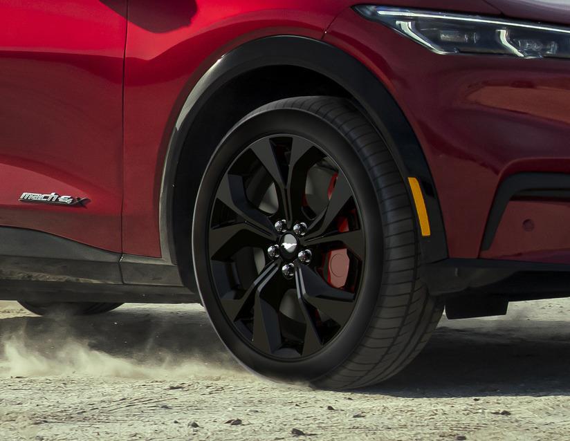 Genuine Ford Mustang Mach-E 2020> 19