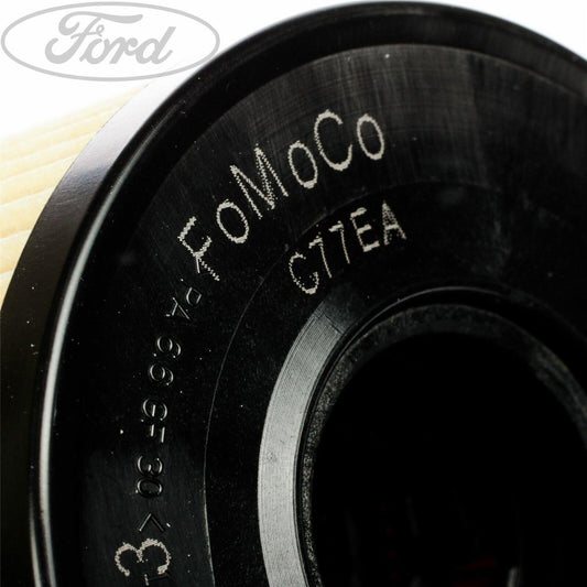 Genuine Ford Focus C-Max 2.0 Diesel Fuel Filter (10.03 - 03.07)  1318563
