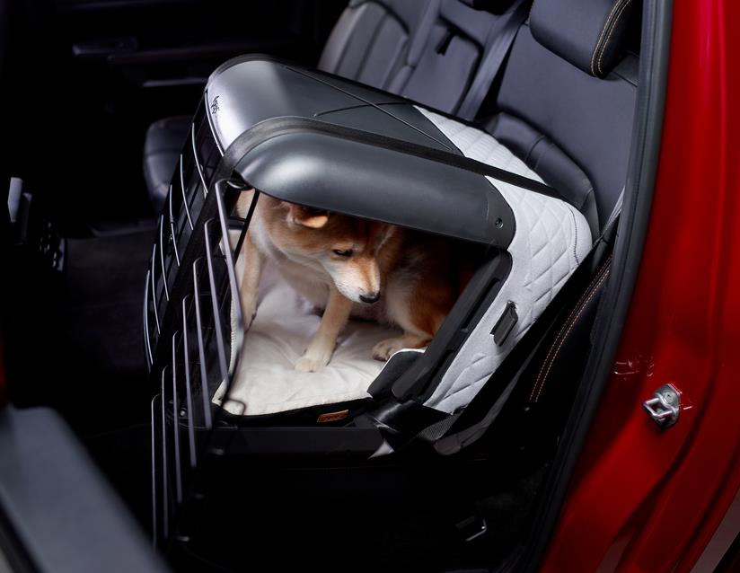 Genuine Ford Mustang Mach-E 2020> Pets Caree, Secure With Seatbelt or  Isofix 2460886