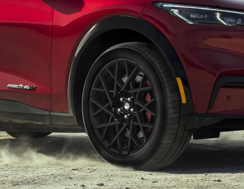 Genuine Ford Mustang Mach-E 2020> 20