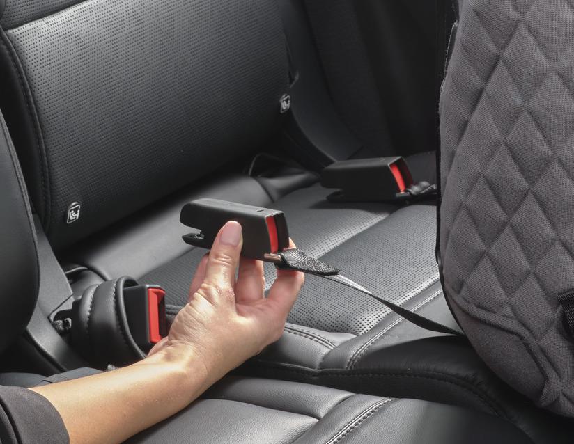 Genuine Ford Mustang Mach-E 2020> Pets Caree Isofix Connector 2461044  2461044