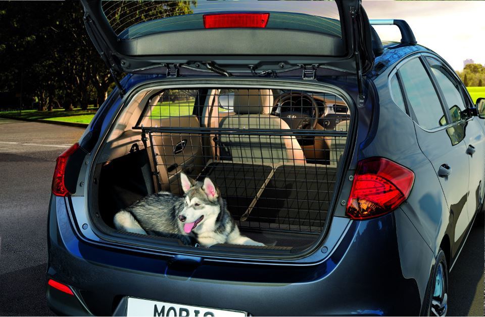 Kia Cee'd Dog Guard /Cargo Separator - Lower Frame (A2151ADE00)